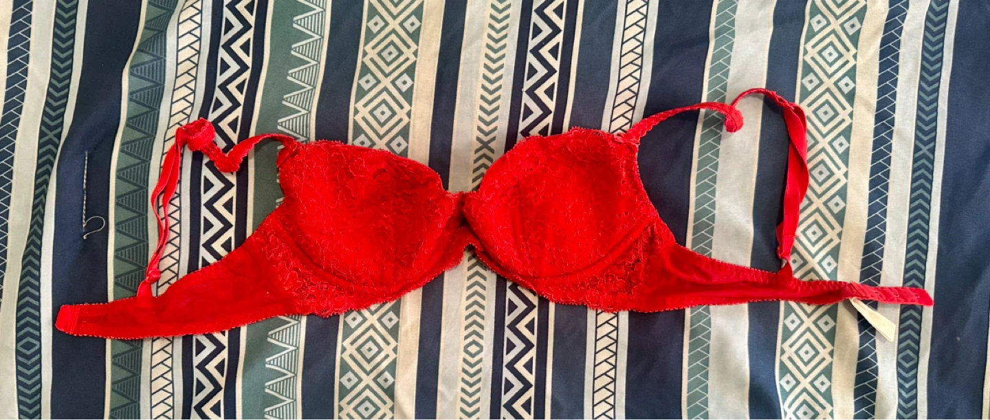 La Senza Silk & Satin Red Lace Push-Up Bra – Size 34B