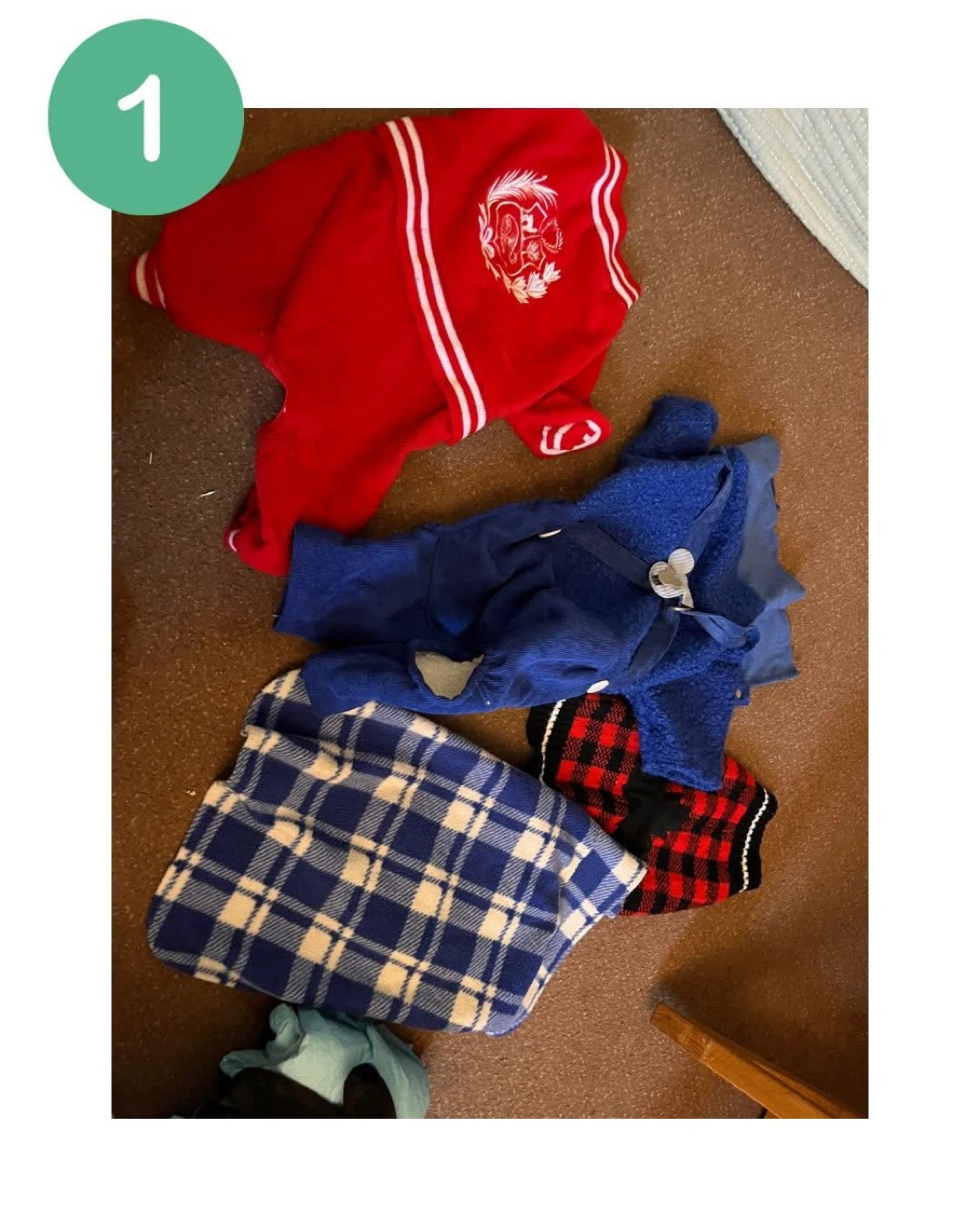 Bundle of Pet Clothing
