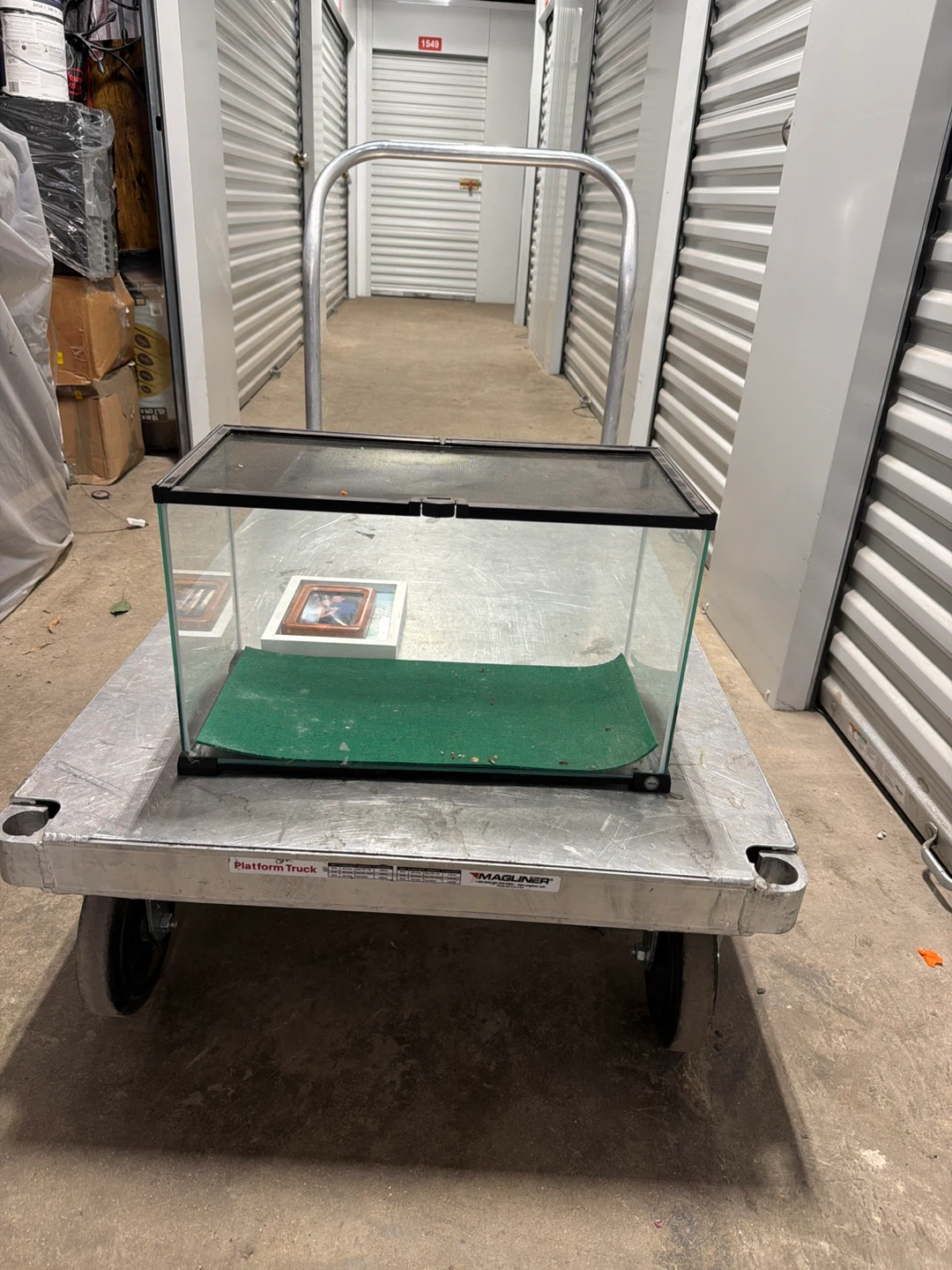 Glass Terrarium/Aquarium Tank