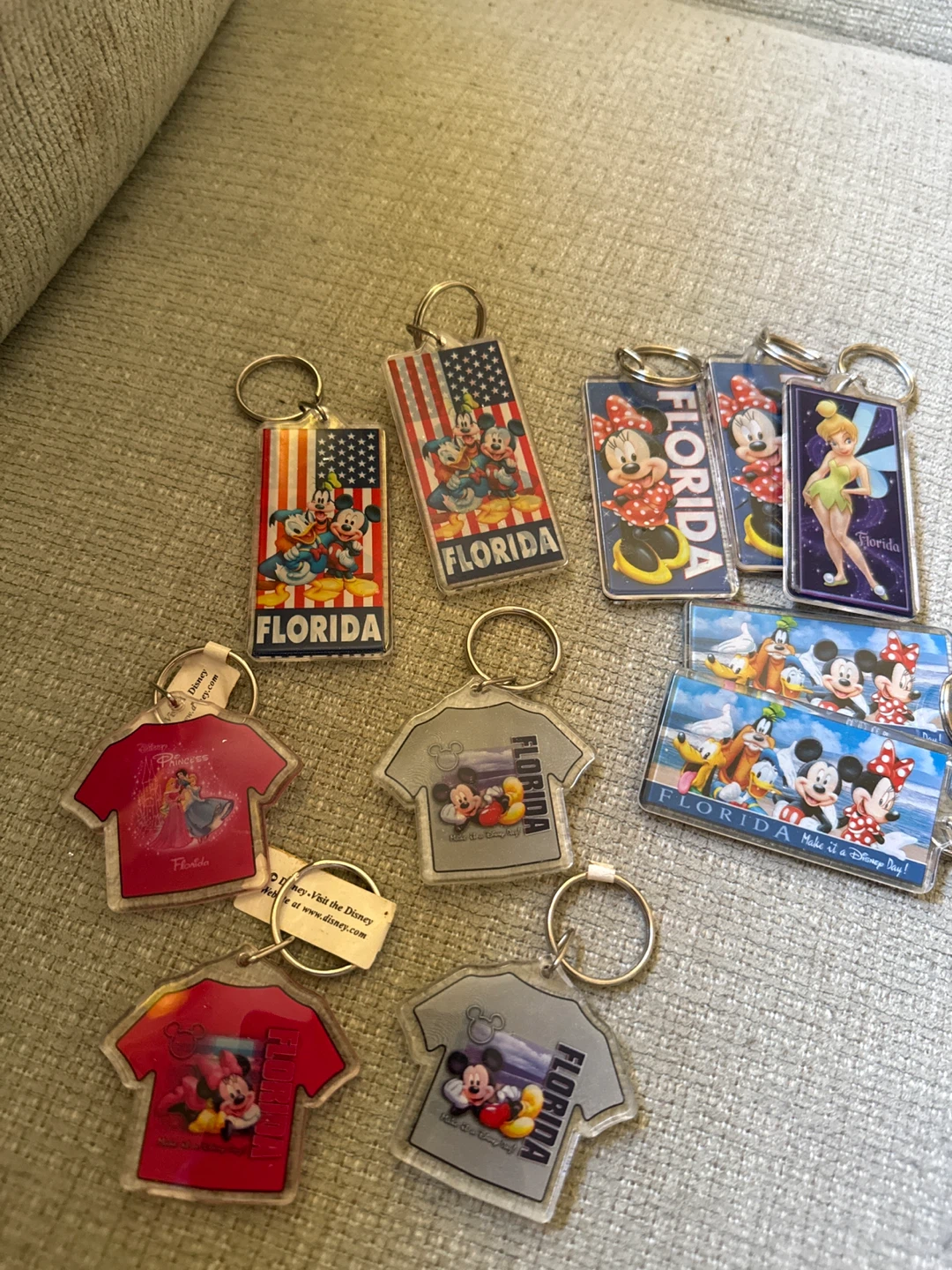 🌱 Disney Florida Keychain Lot - photo 2