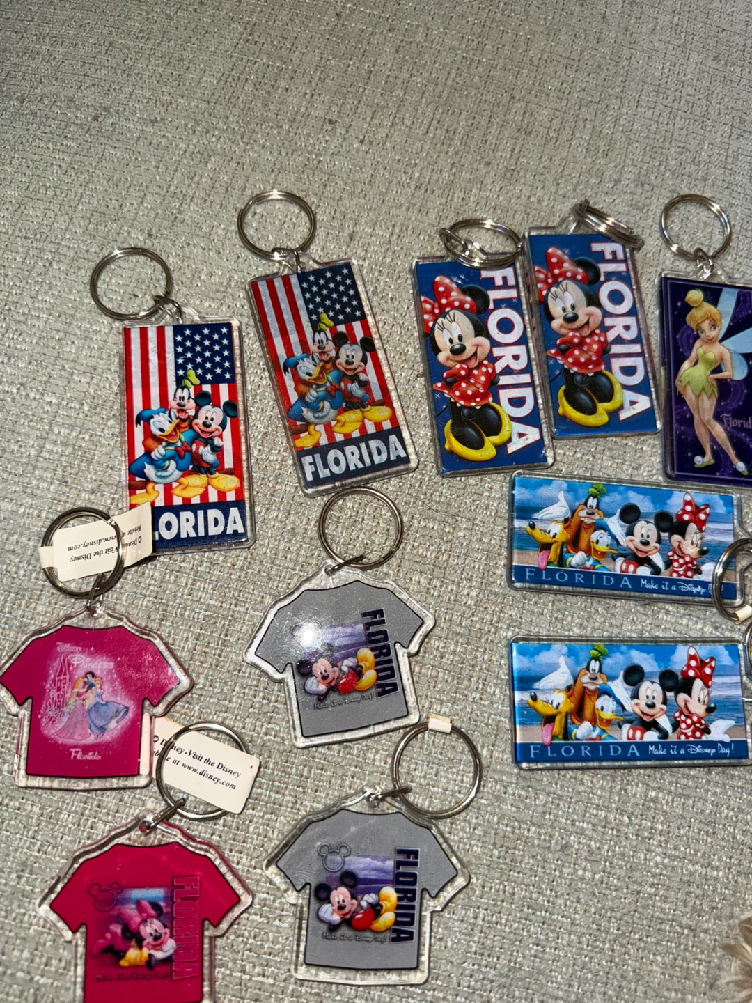 🌱 Disney Florida Keychain Lot