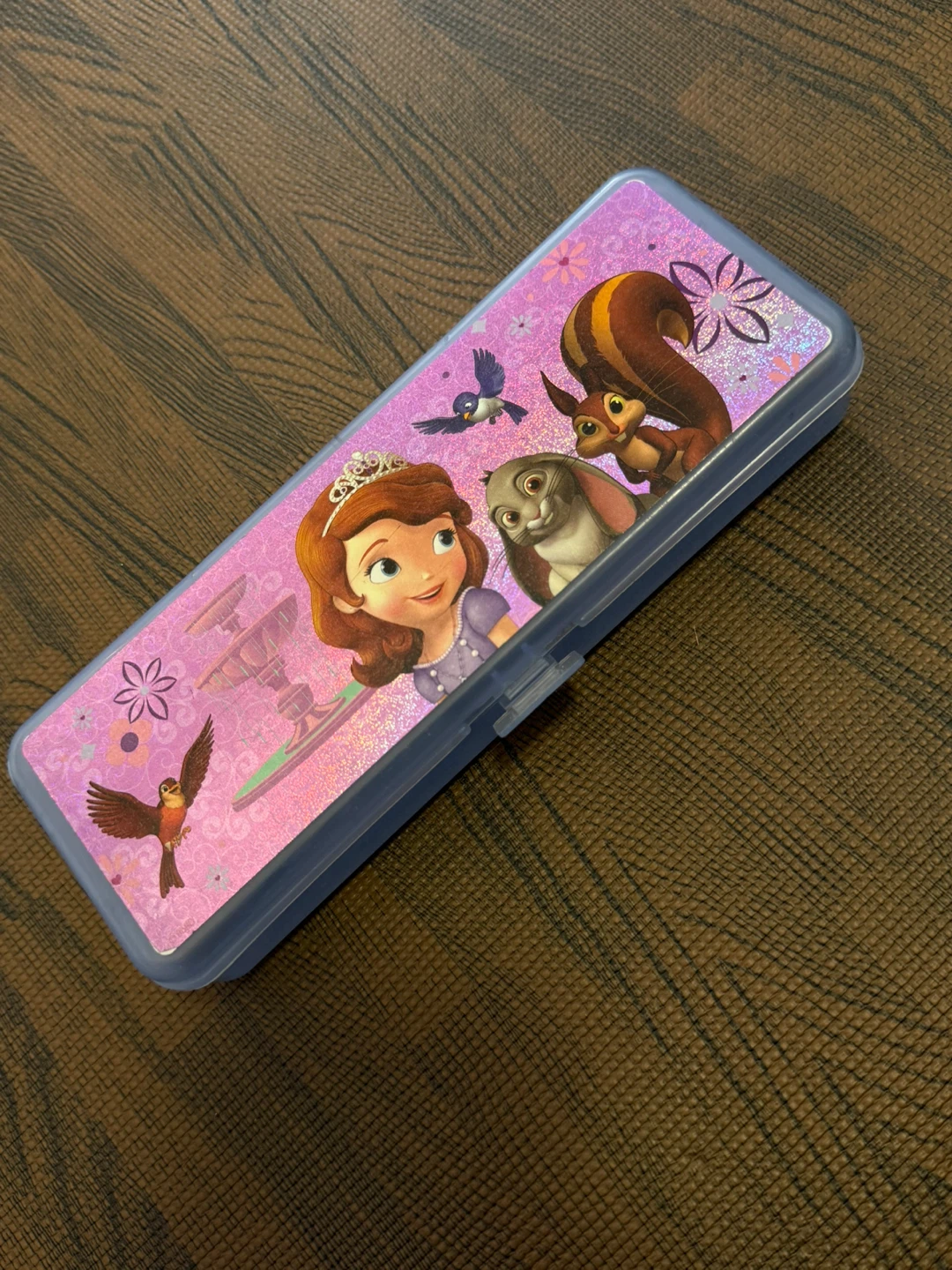 Sofia the First Pencil Case