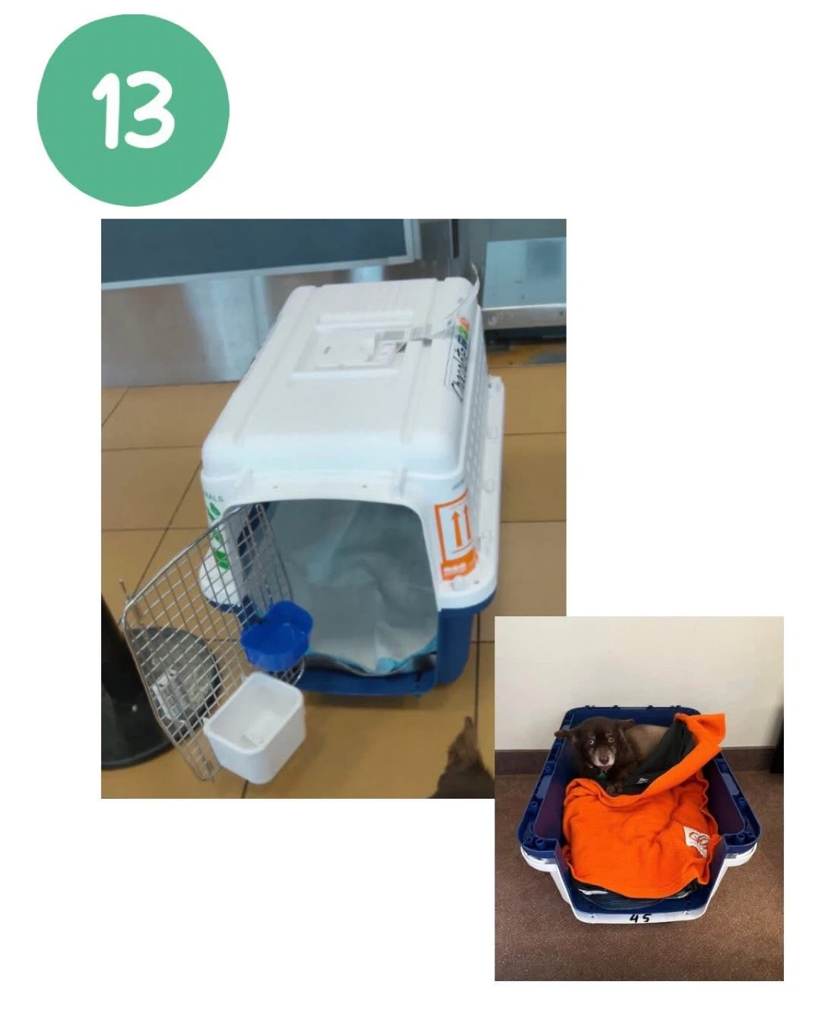 Pet Carrier with Accessories