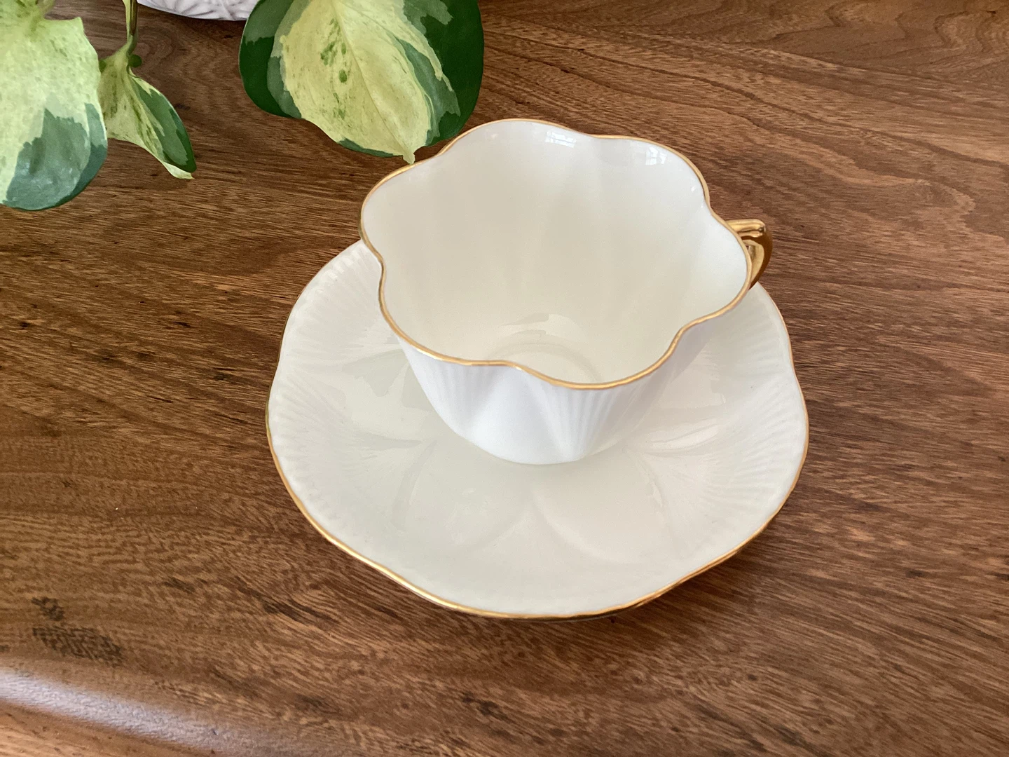 Shelley Fine Bone China Teacup and Saucer Set