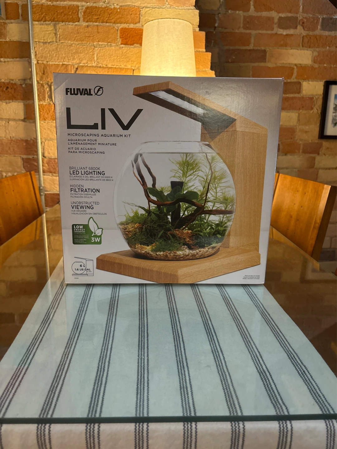 Fluval LIV Microscaping Teak Aquarium Kit 🌱