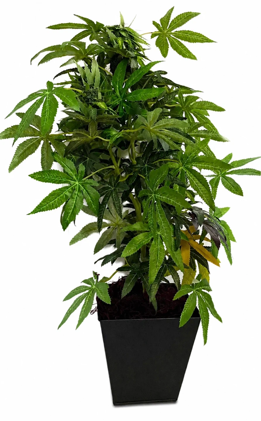 Artificial Cannabis Plant 28”Realistic Decor Piece