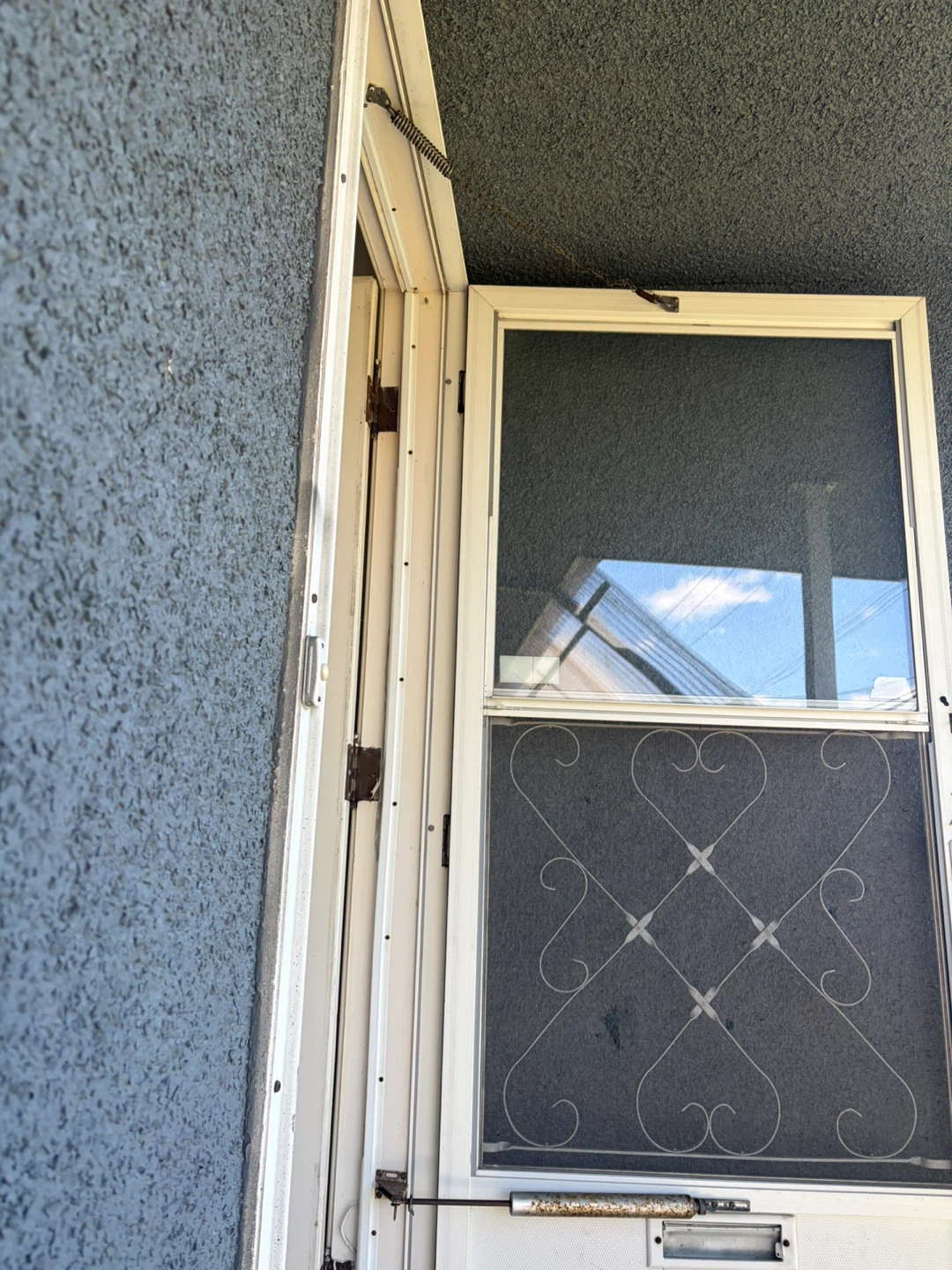 White Screen Door - photo 2