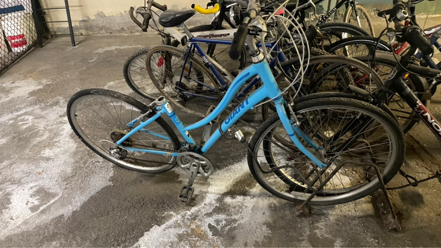 GIANT Blue Women's Cruiser Bike