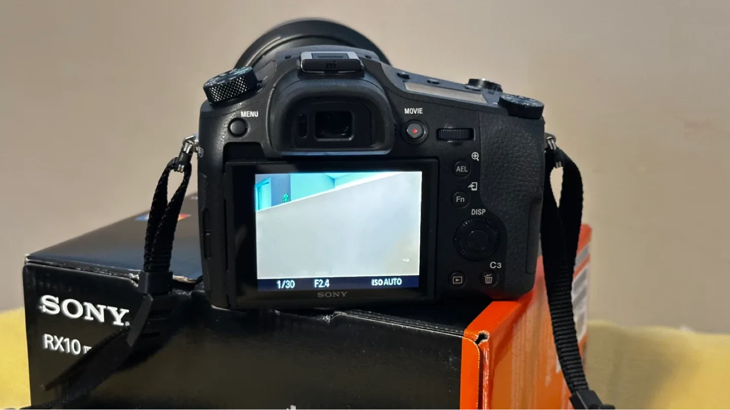 Sony RX10 IV with 0.03s. AF/25x optical zoom - photo 3