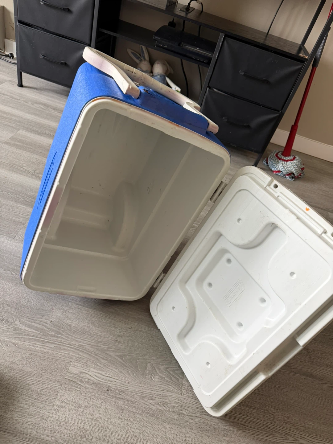 Coleman Cooler