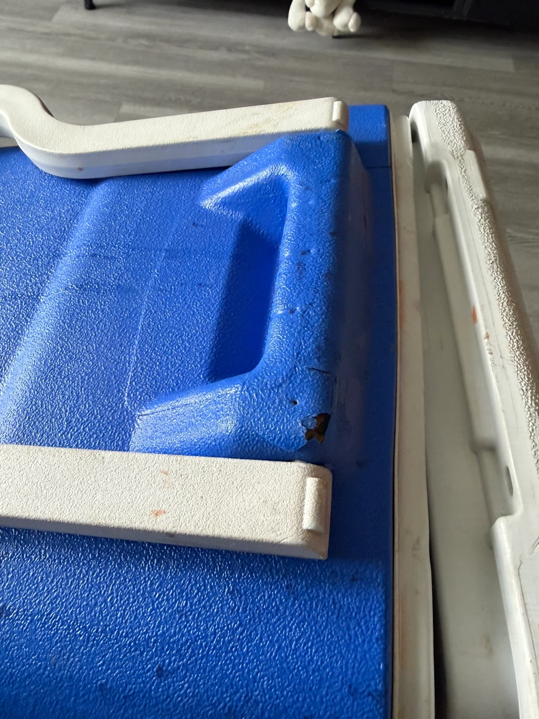 Coleman Cooler - photo 2