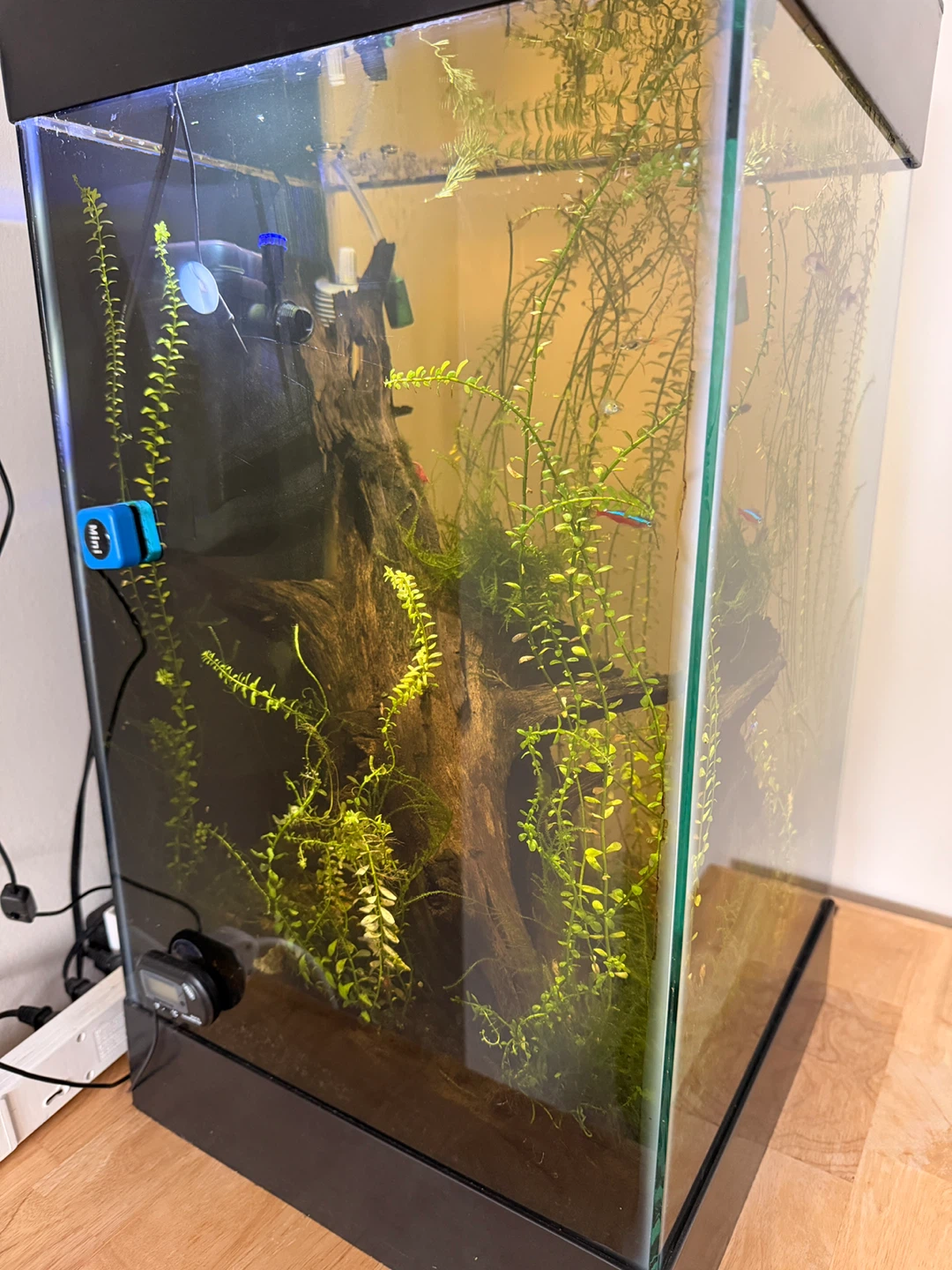 Selling Full Setup - 15 Gal - photo 2