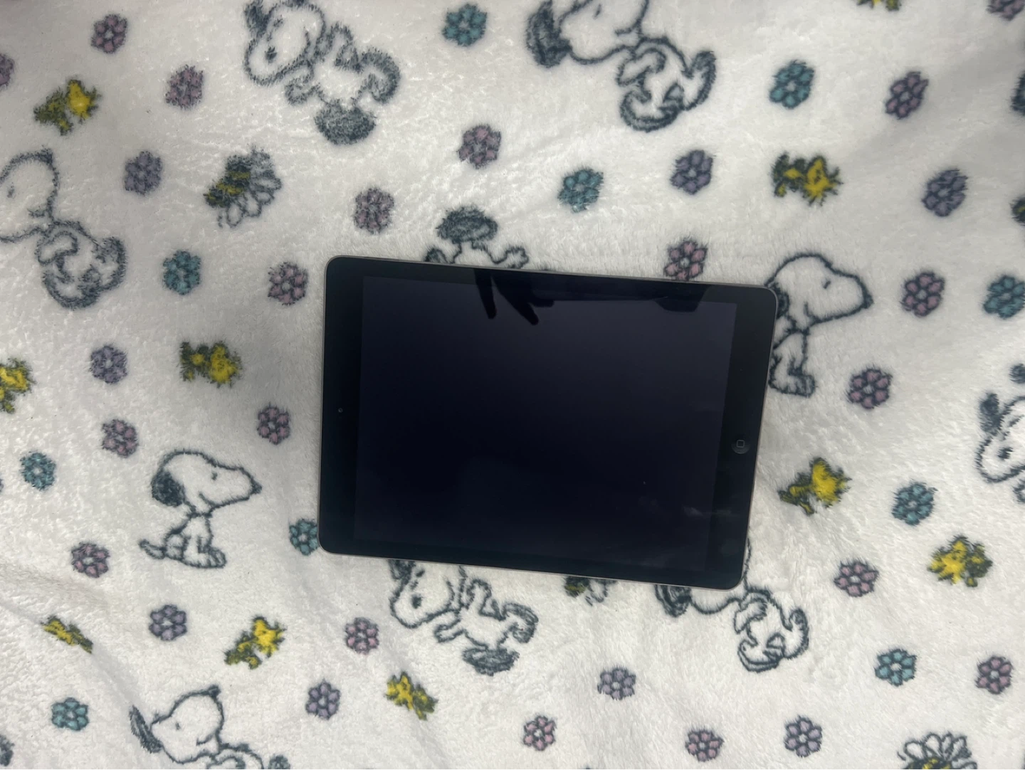 Apple iPad