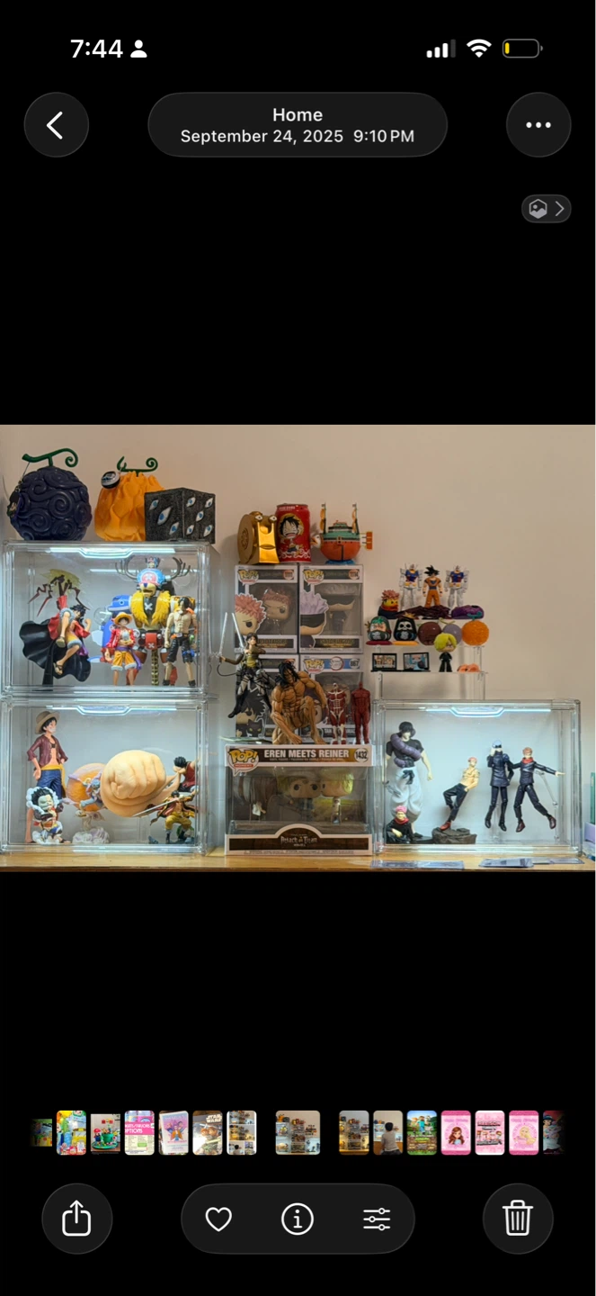 Acrylic Clear Case for Bags or Figures Organizer