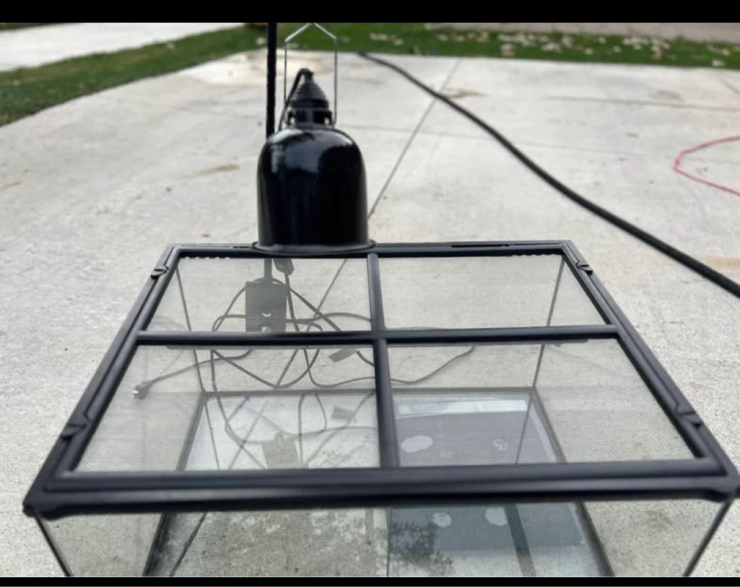 Glass Terrarium with Heat Lamp - photo 3