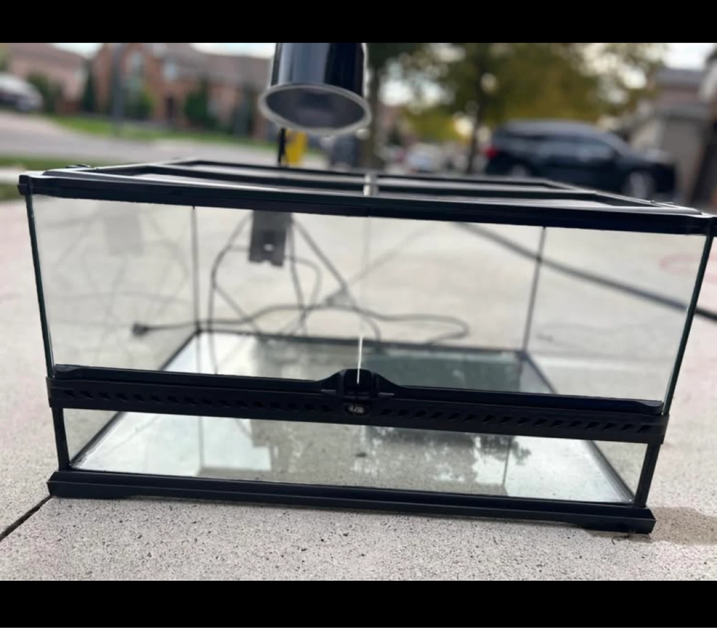 Glass Terrarium with Heat Lamp