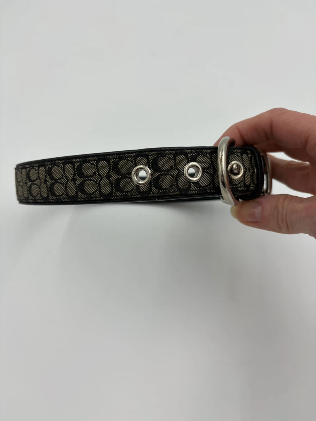 Coach Dog Collar