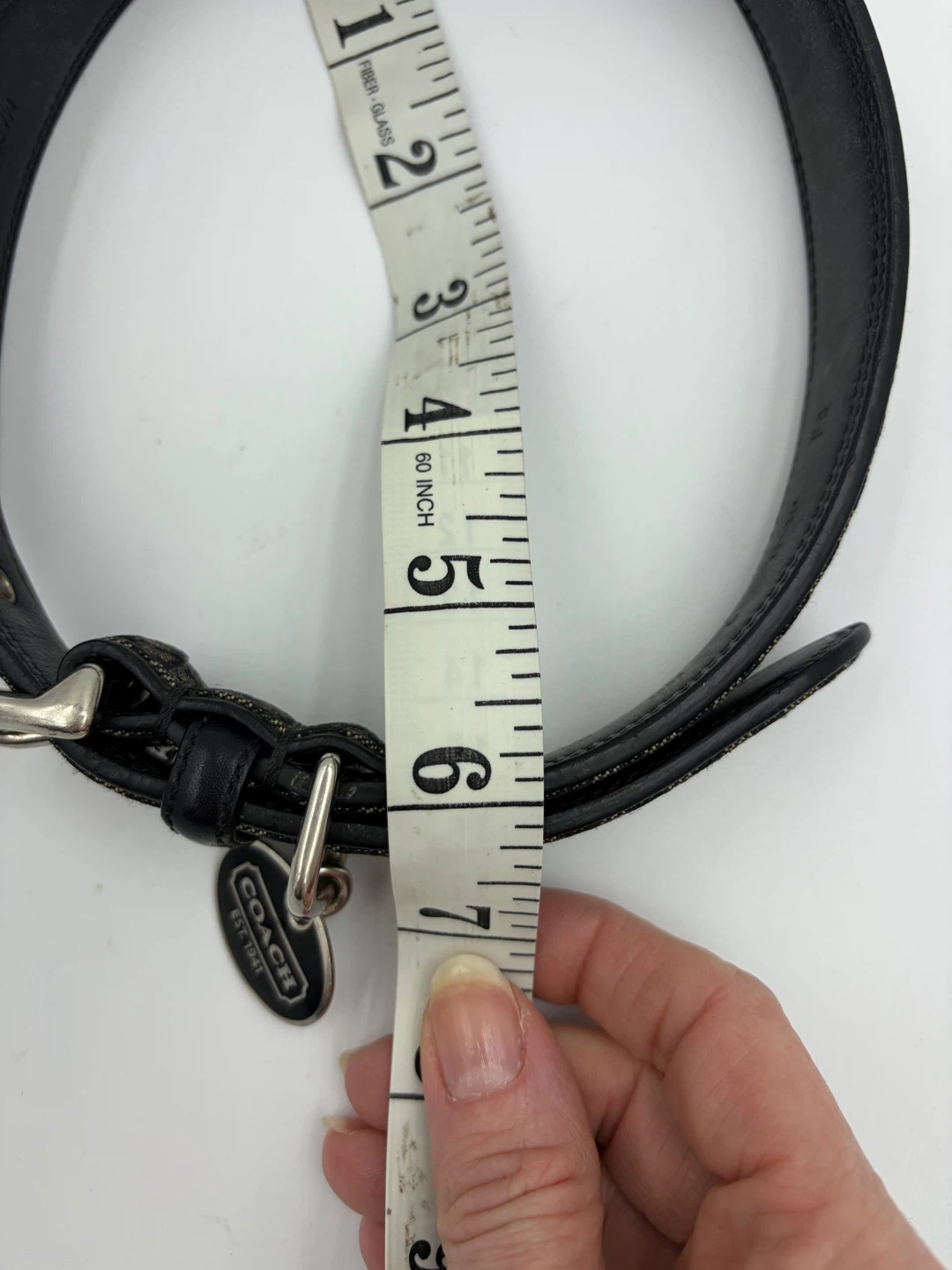 Coach Dog Collar - photo 2