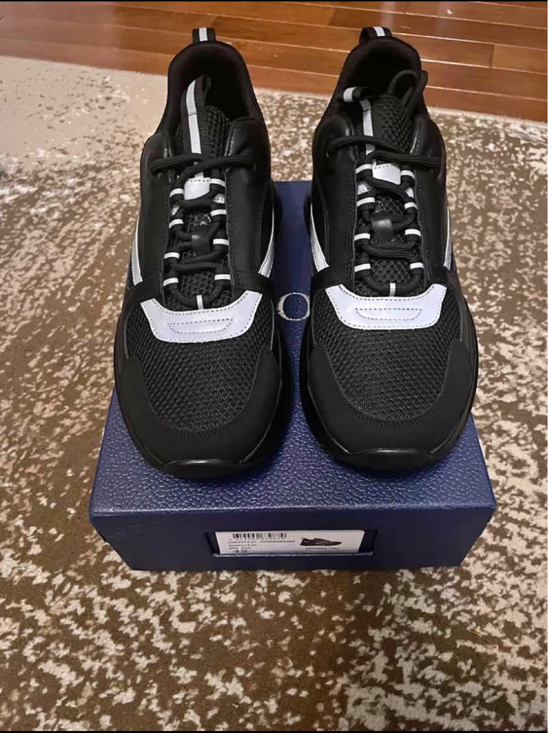 Dior B22