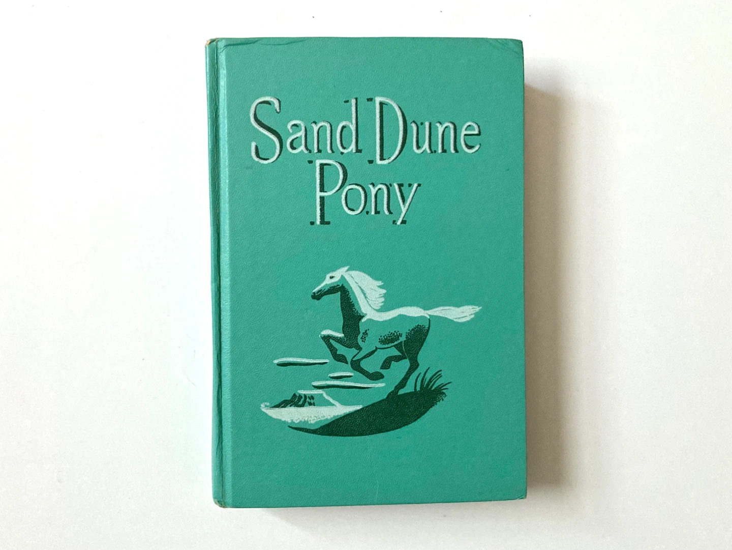 Vintage Children’s Book : Sand Dune Pony