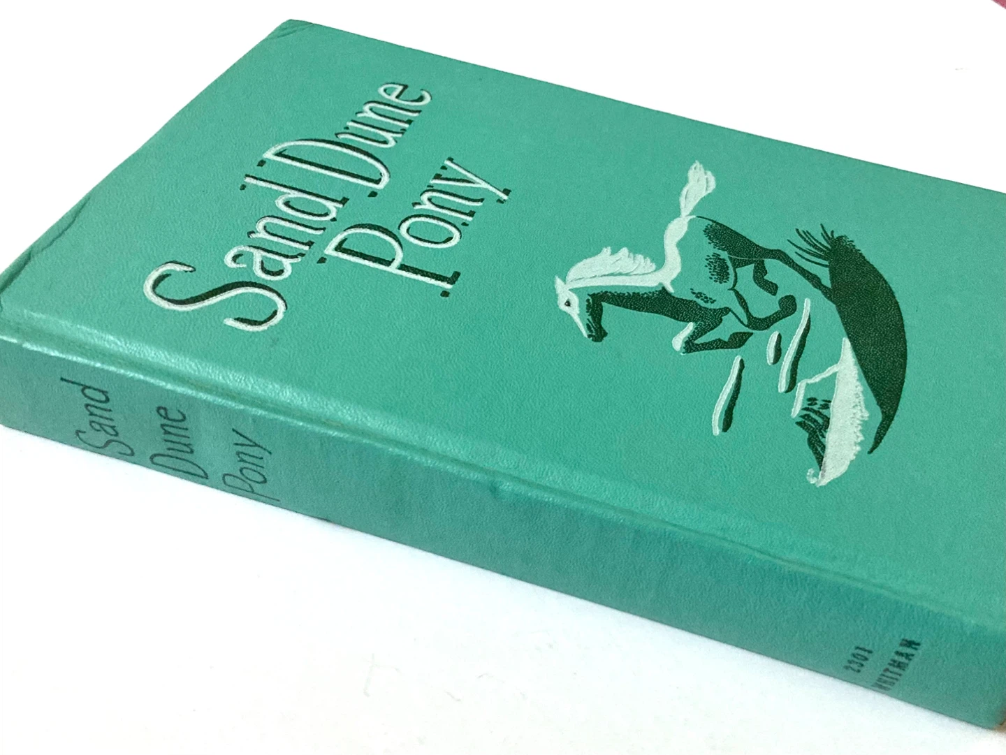 Vintage Children’s Book : Sand Dune Pony - photo 2