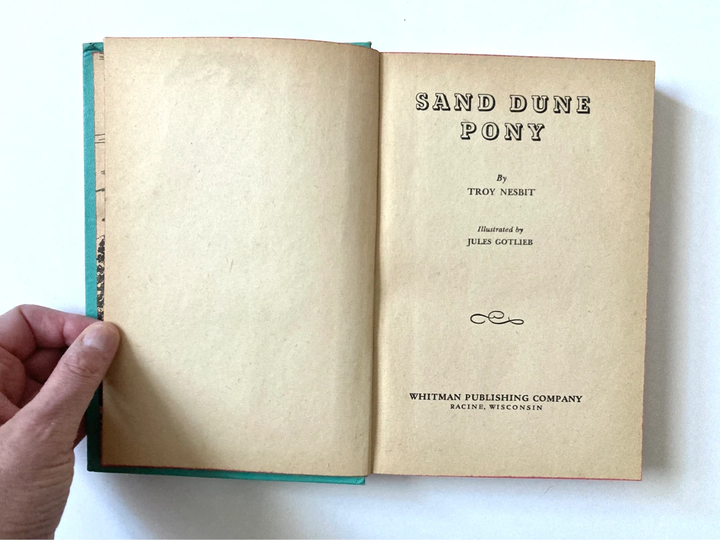 Vintage Children’s Book : Sand Dune Pony - photo 4