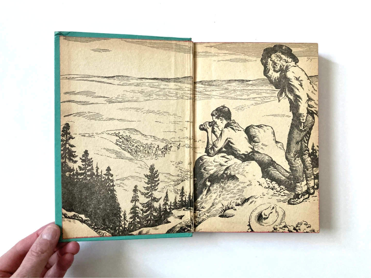 Vintage Children’s Book : Sand Dune Pony - photo 3
