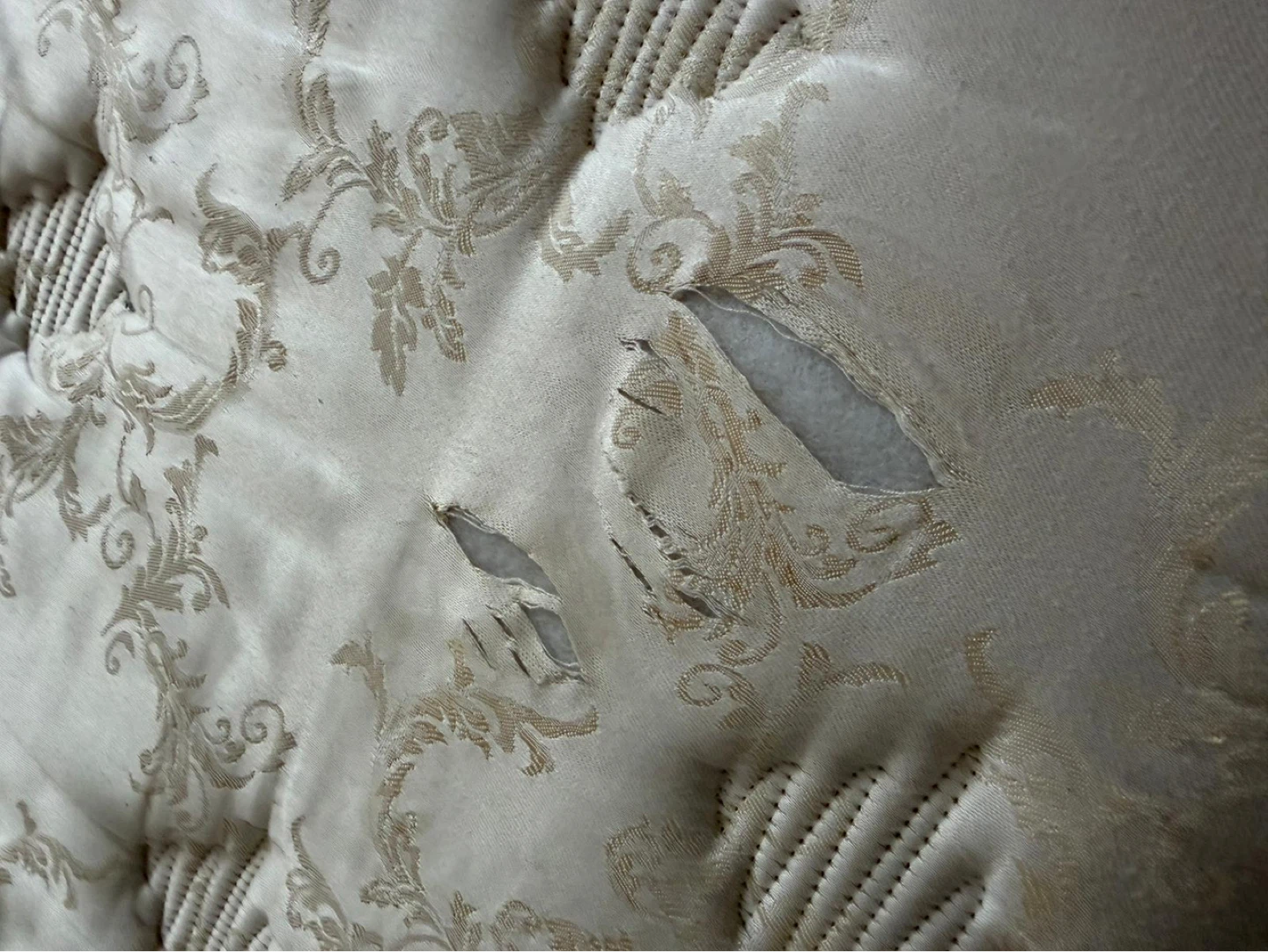 Chiropractic Double Mattress - photo 5
