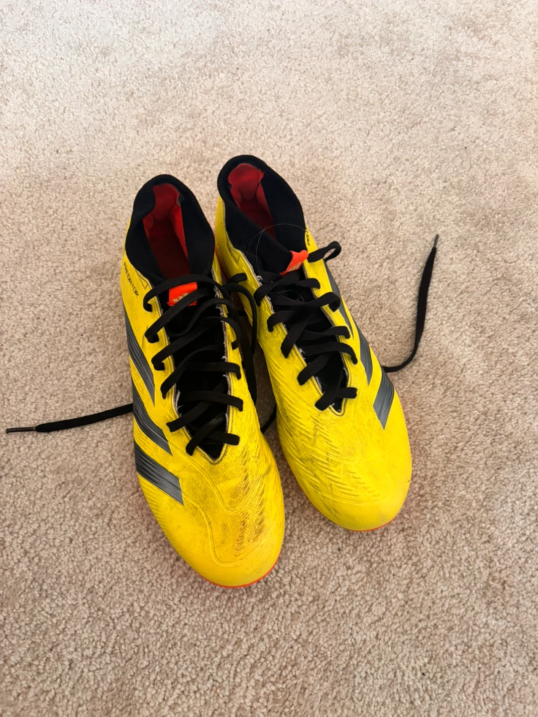 Adidas hybrid predators