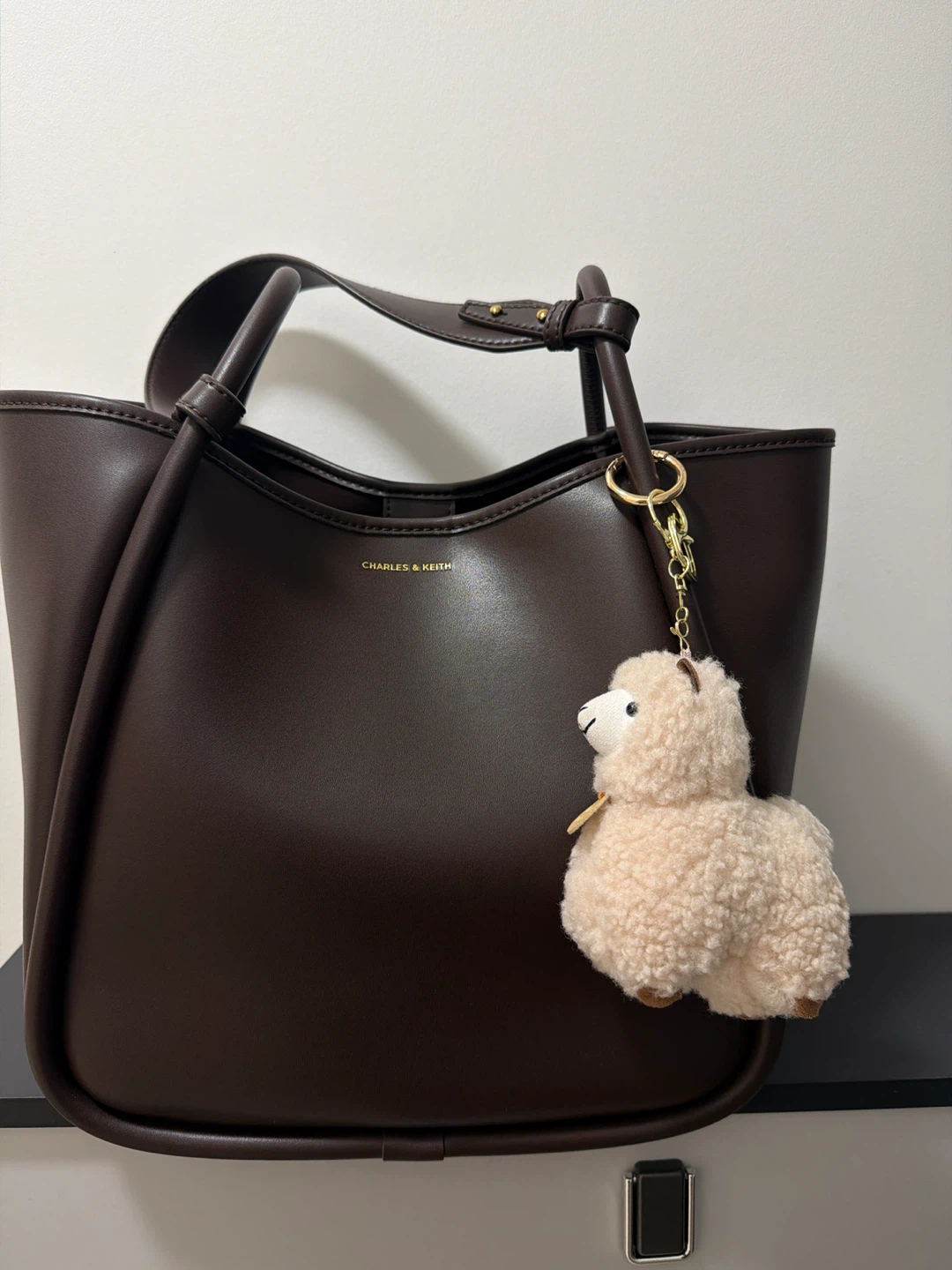 CHARLES & KEITH Dark Brown Tote Bag with Charm