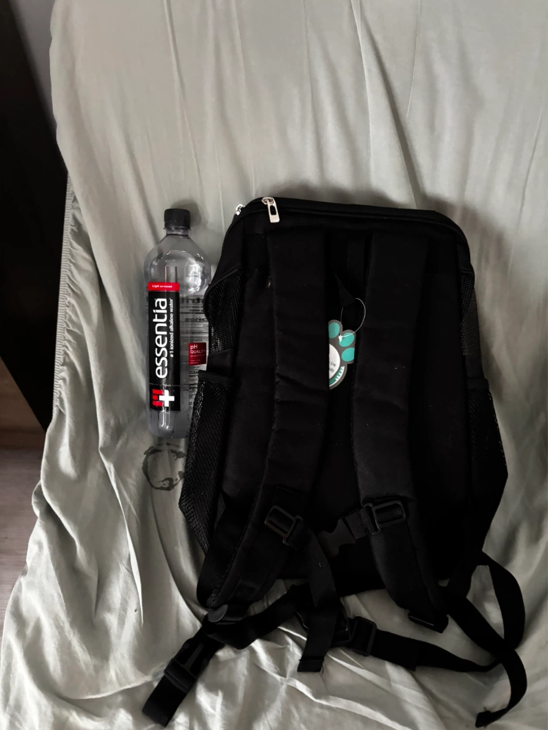 Pet carrier backpack  🥕🥕🥕