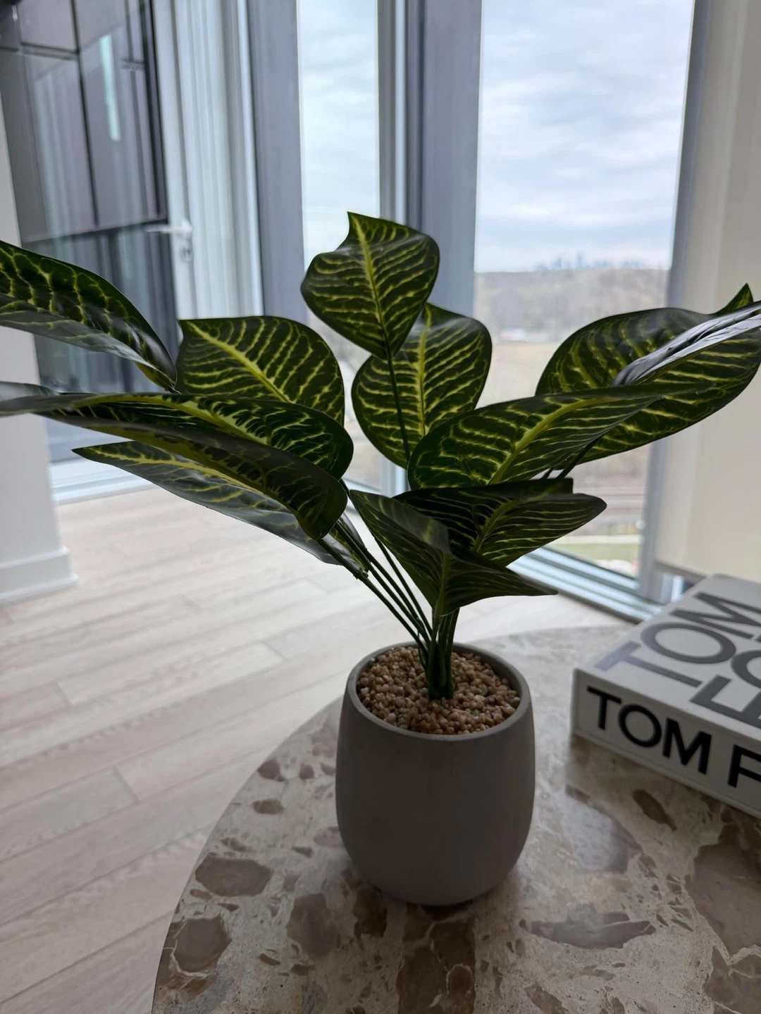 Artificial Zebra Plant in Grey Pot