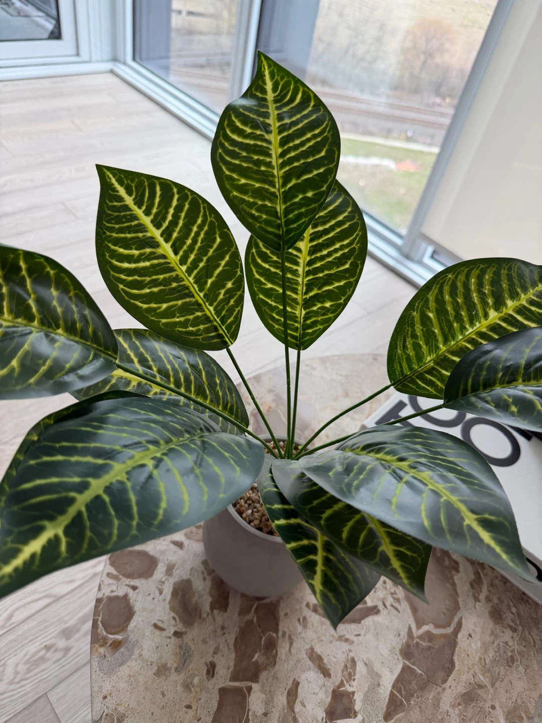 Artificial Zebra Plant in Grey Pot - photo 3