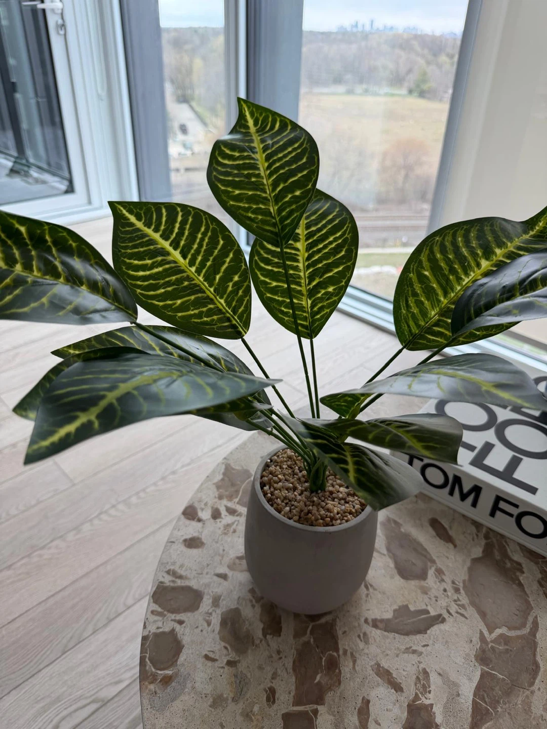 Artificial Zebra Plant in Grey Pot - photo 2