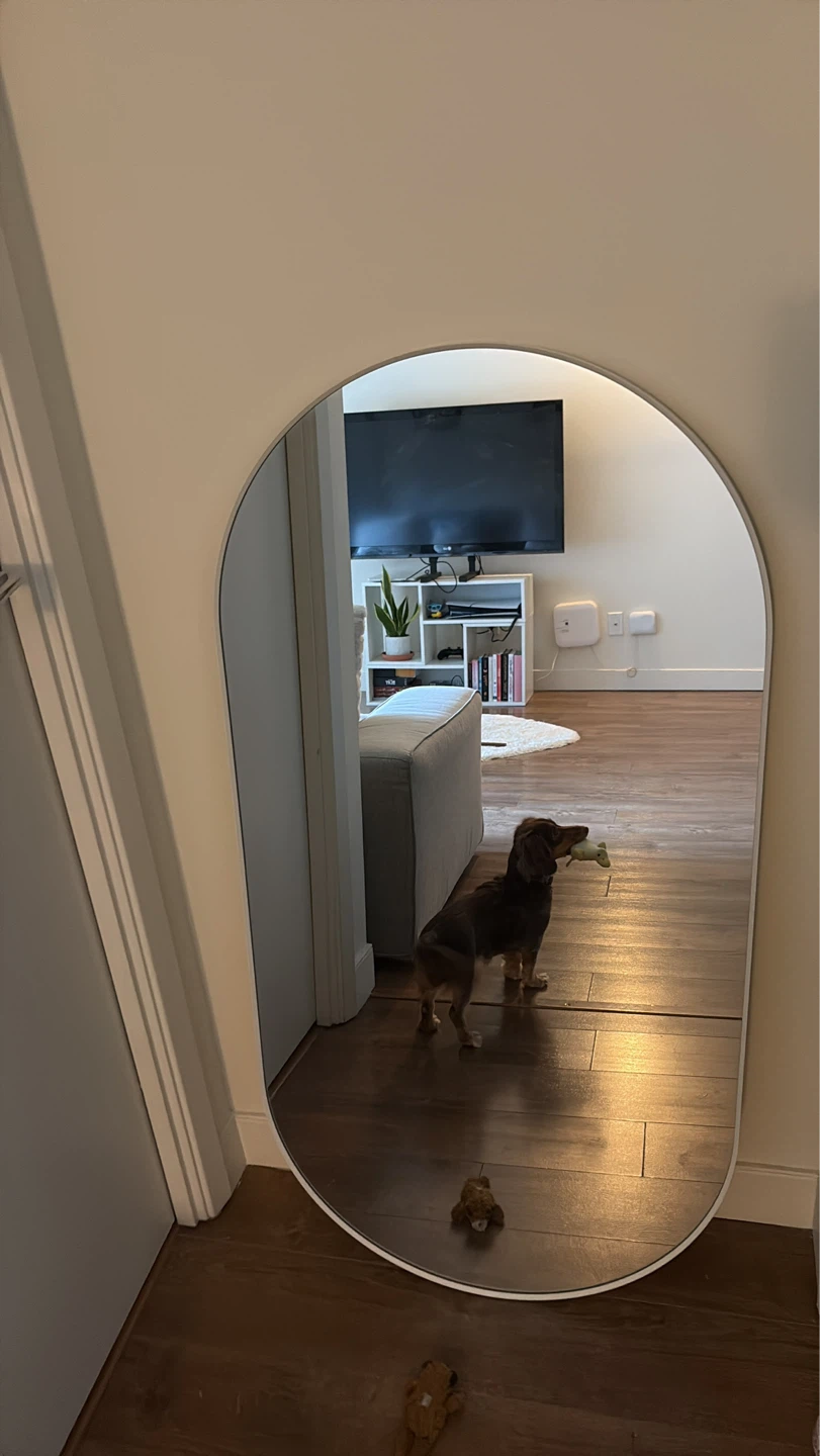 Arched Wall Mirror