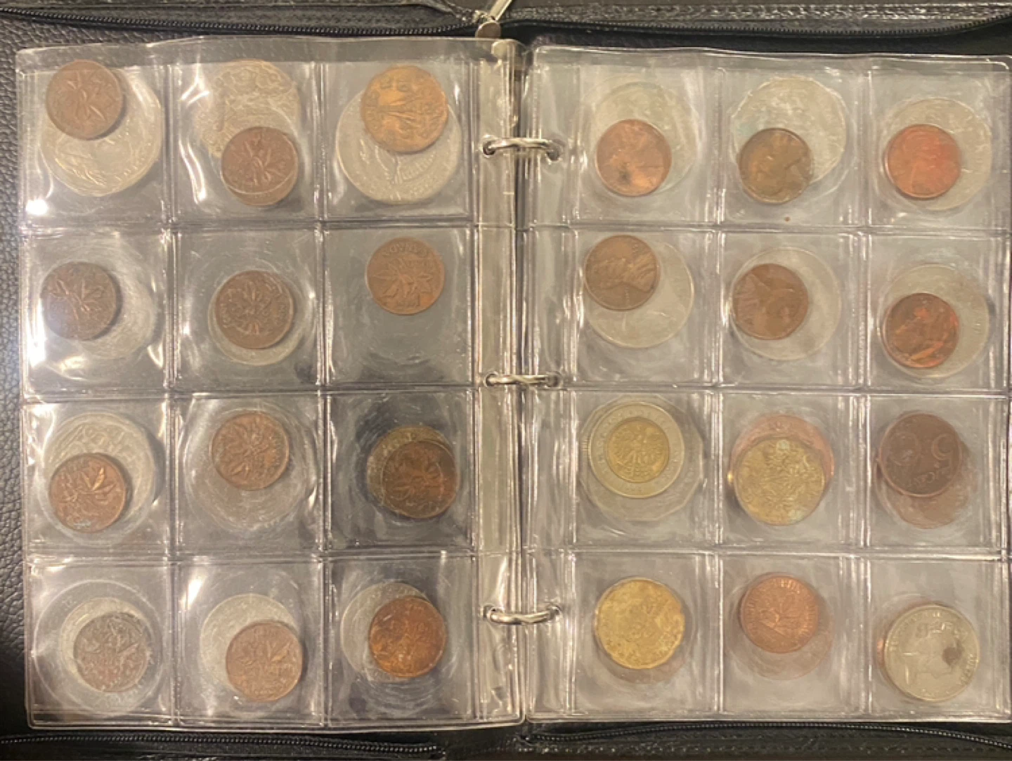 Mixed Coin Collection in Binder - photo 3
