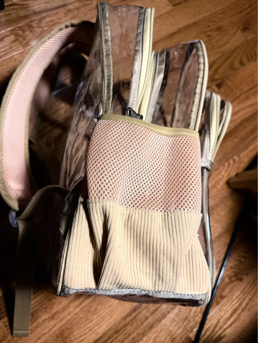 🌱 Clear Backpack with Accents - photo 2