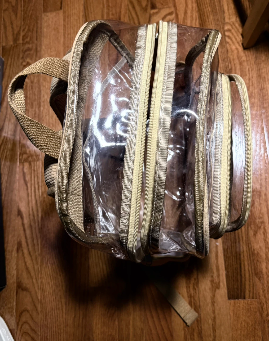 🌱 Clear Backpack with Accents - photo 3