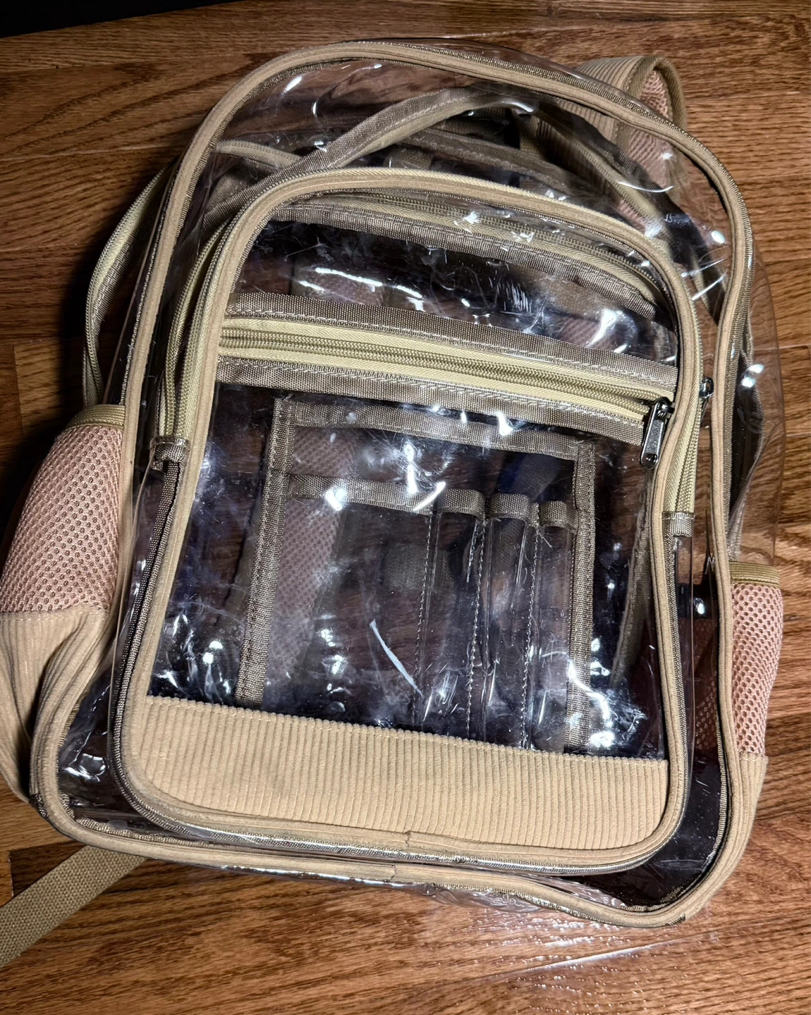 🌱 Clear Backpack with Accents