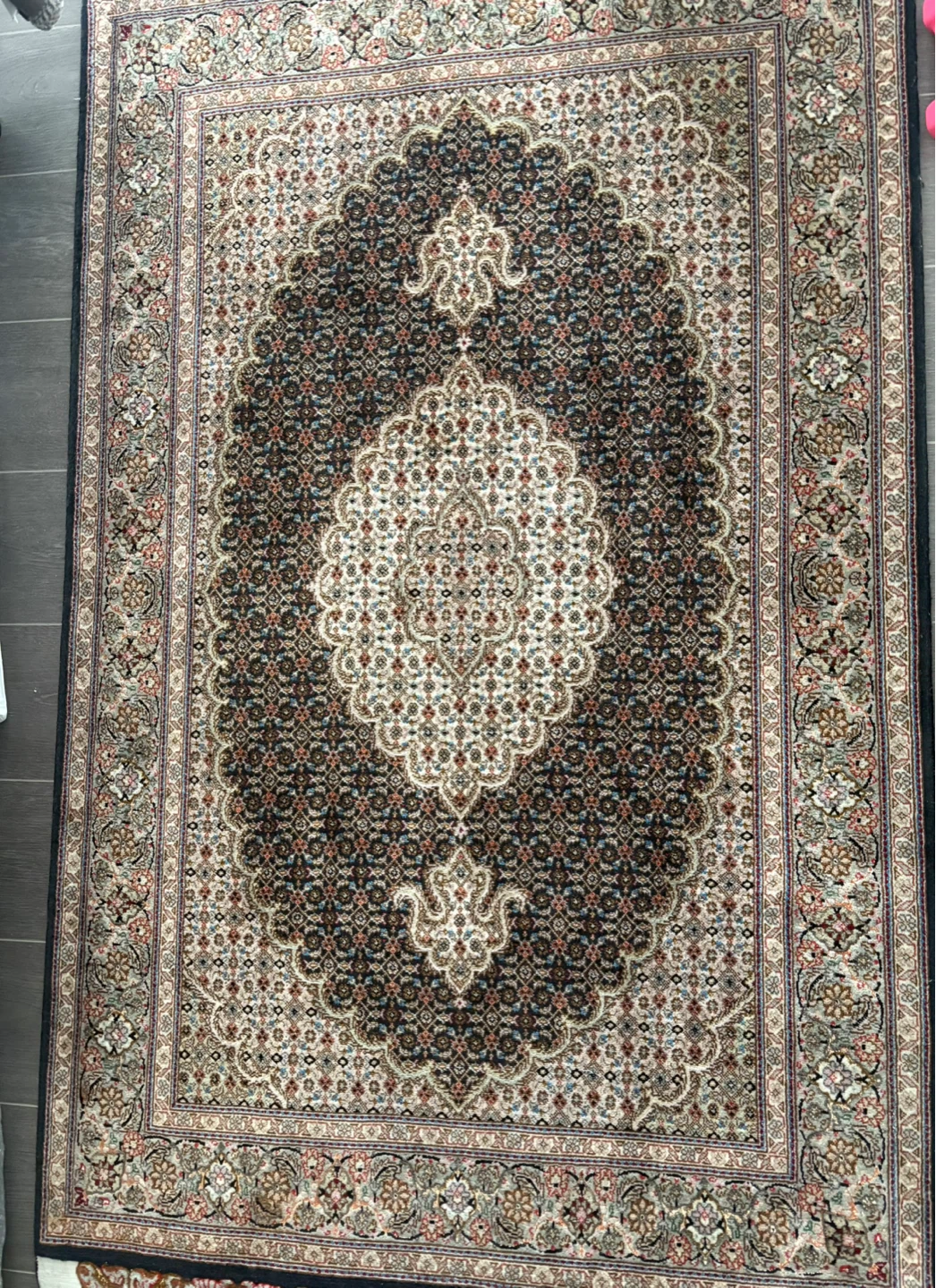 Traditional Oriental Area Rug