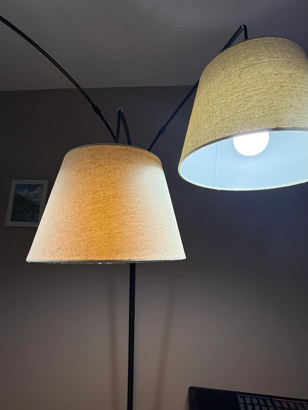 Arc Floor Lamp with 3 Shades - photo 3
