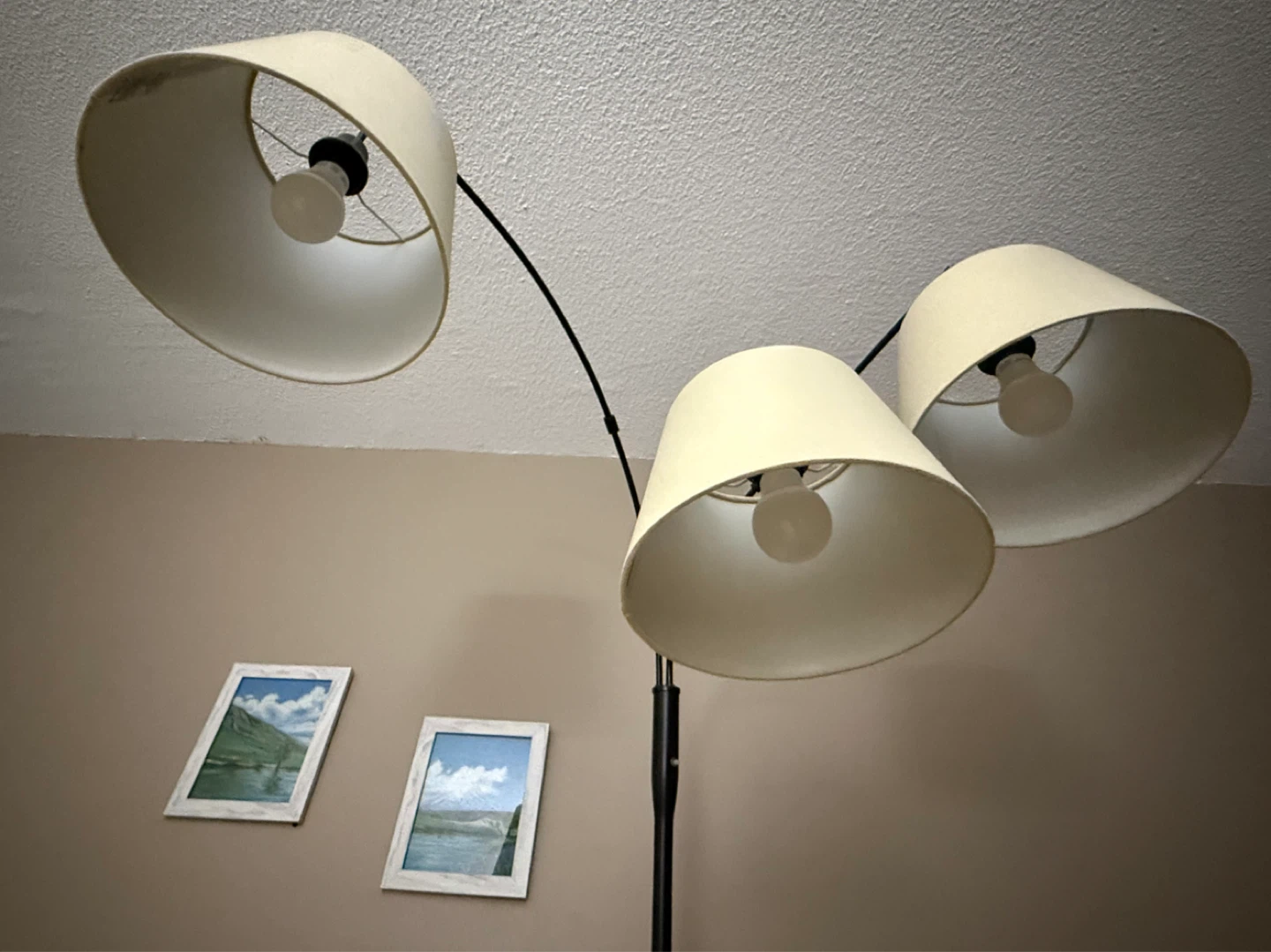 Arc Floor Lamp with 3 Shades - photo 5