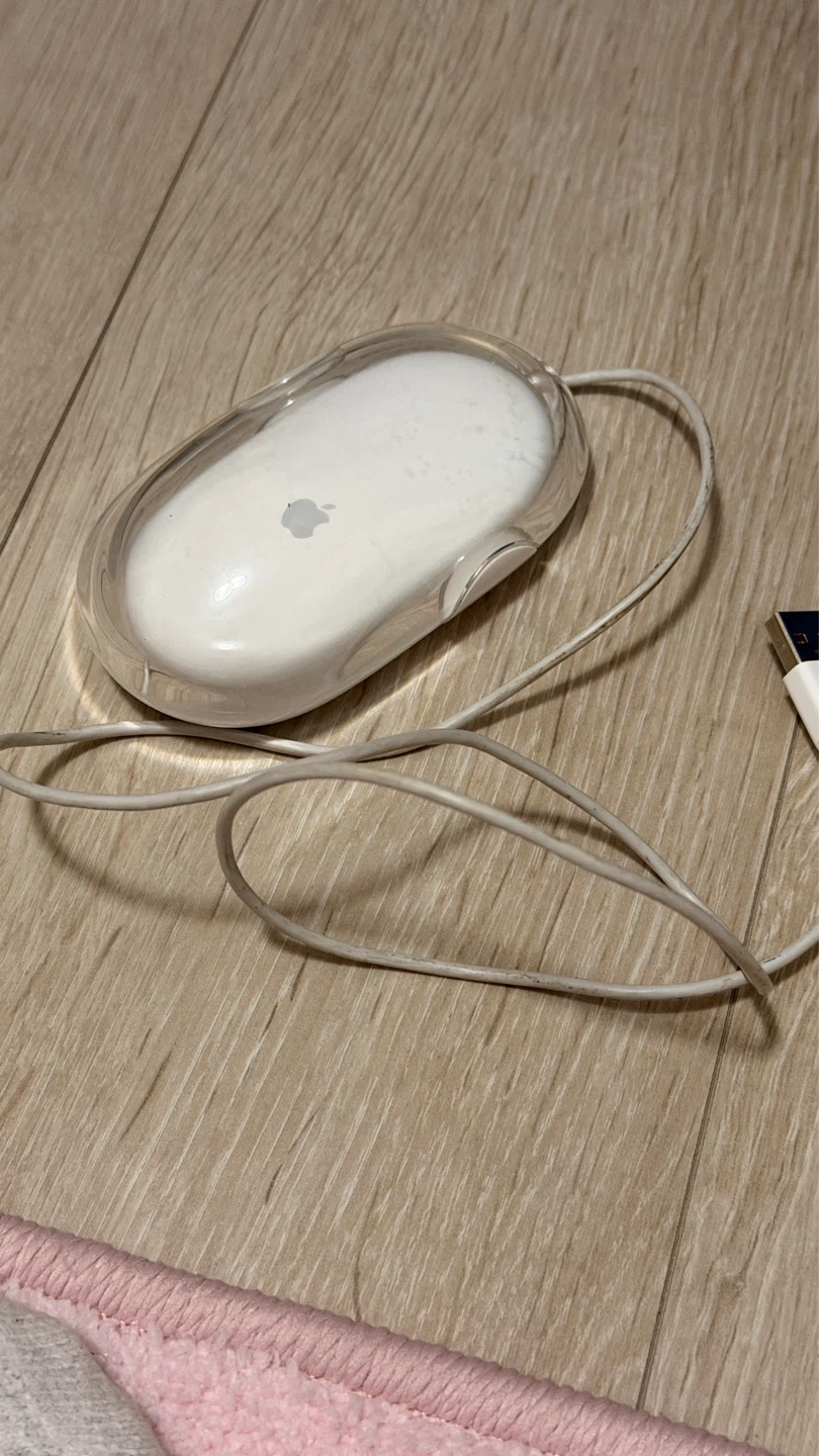 Apple iMouse
