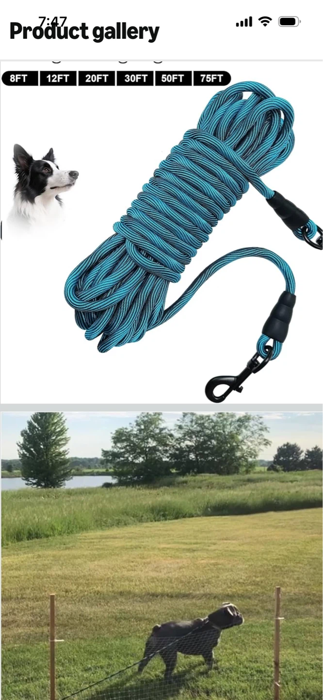 New-Blue Black Dog Leash - 8 Foot