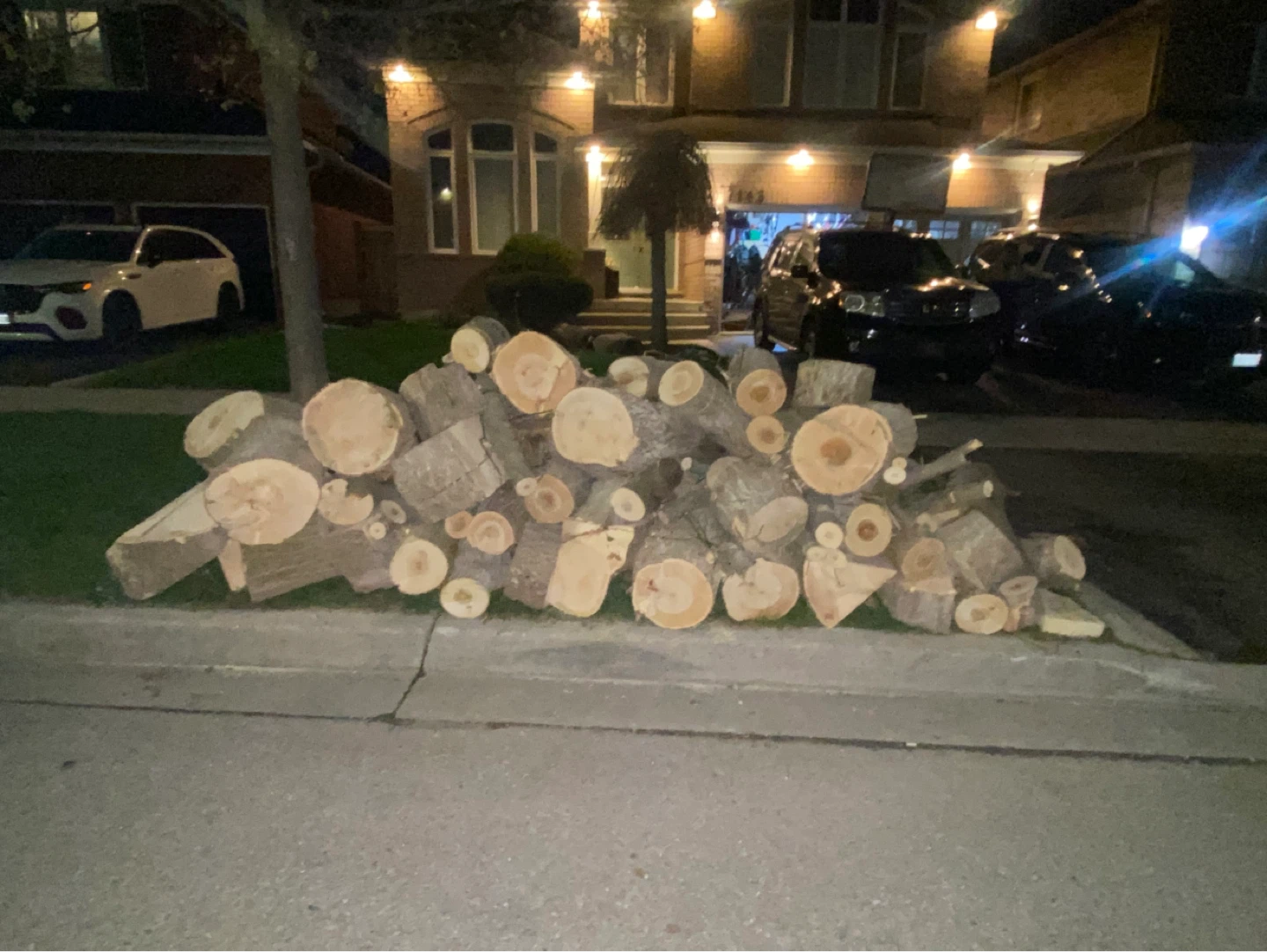 Free Fire Wood