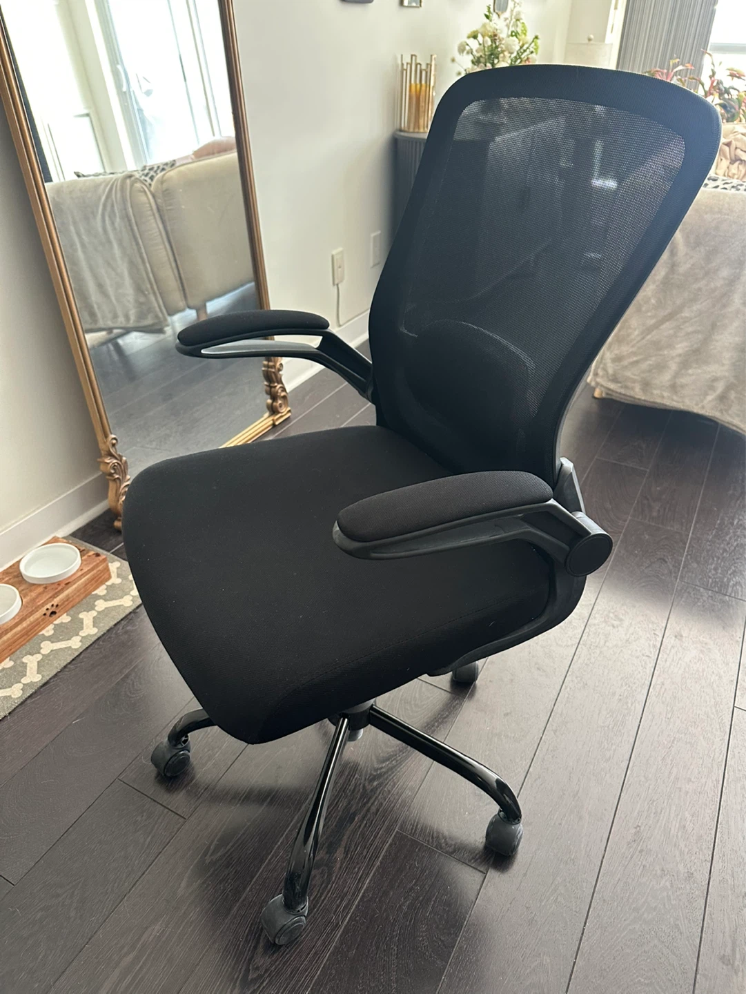 Office Desk Chair