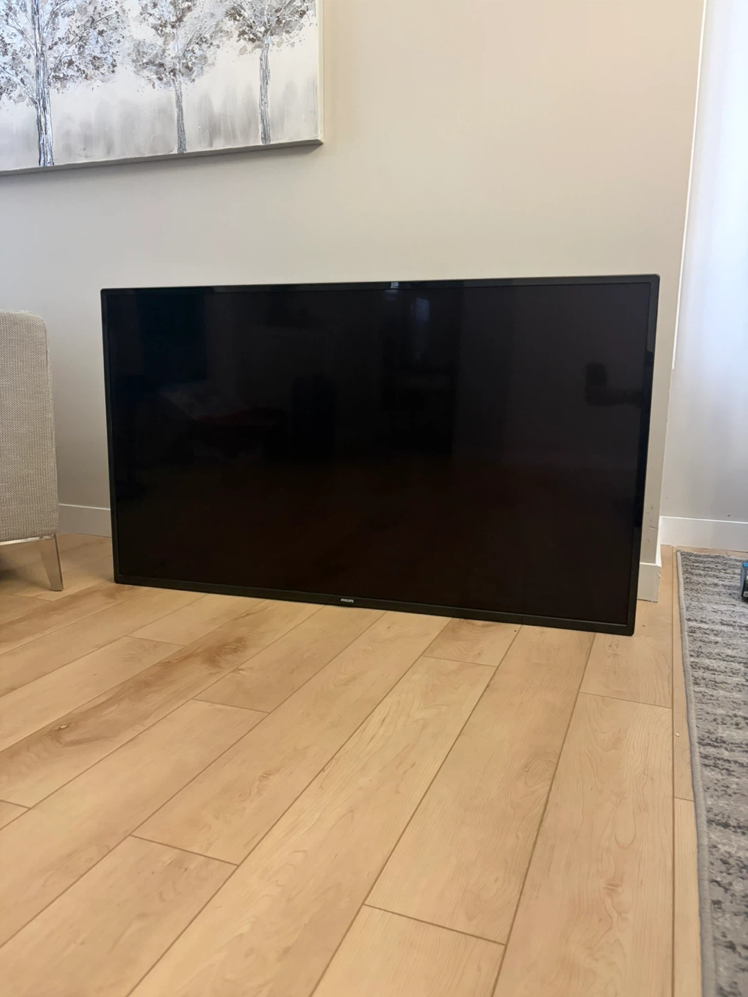 Philips 55" TV