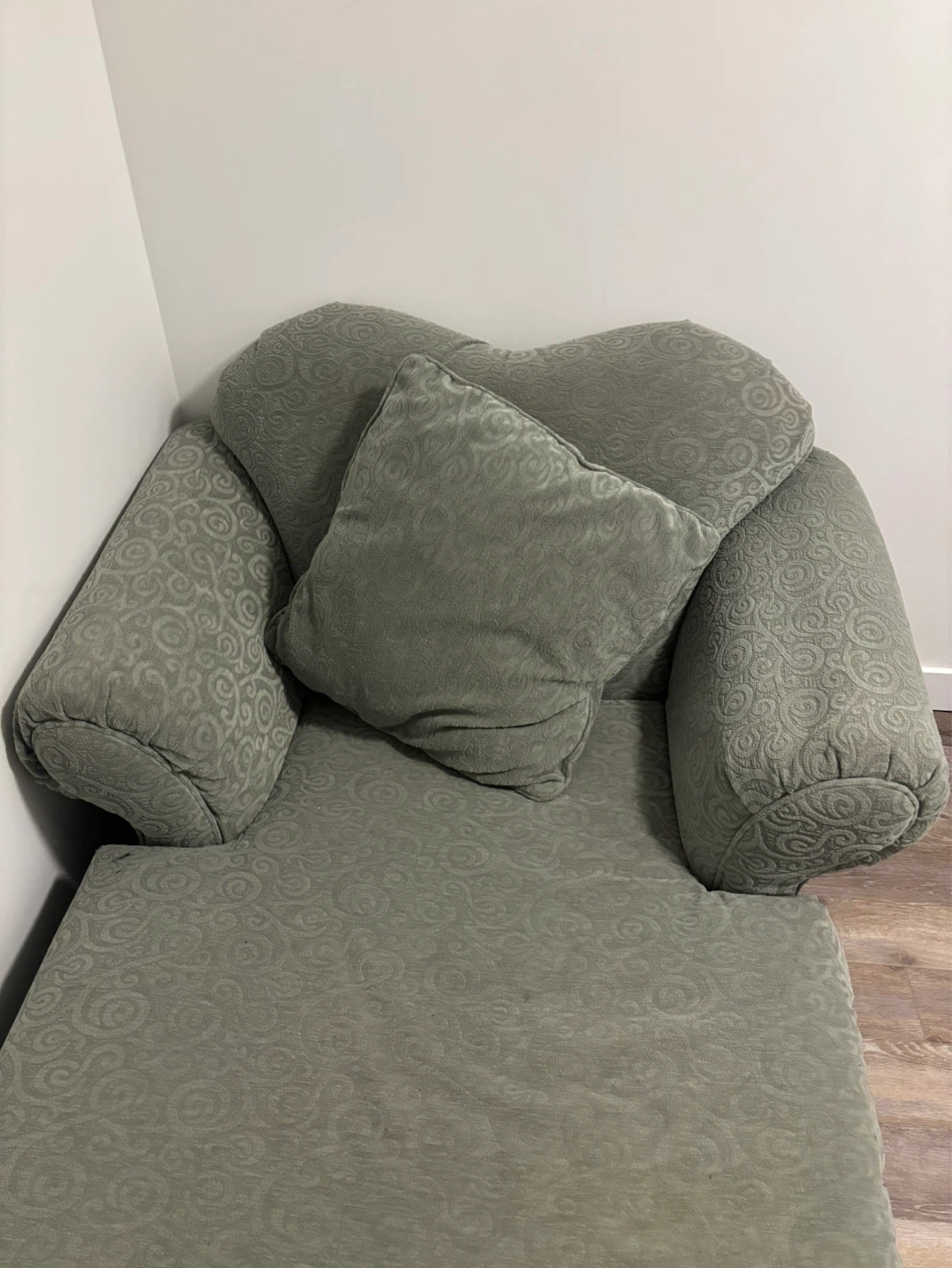Chaise Lounge with Pillows - photo 3