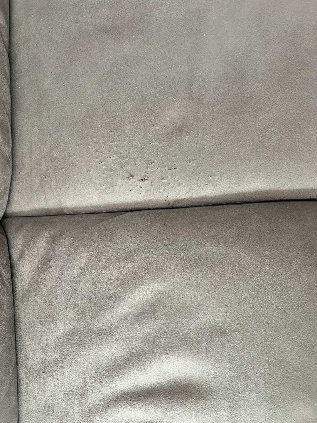 Light beige Sofa - photo 2