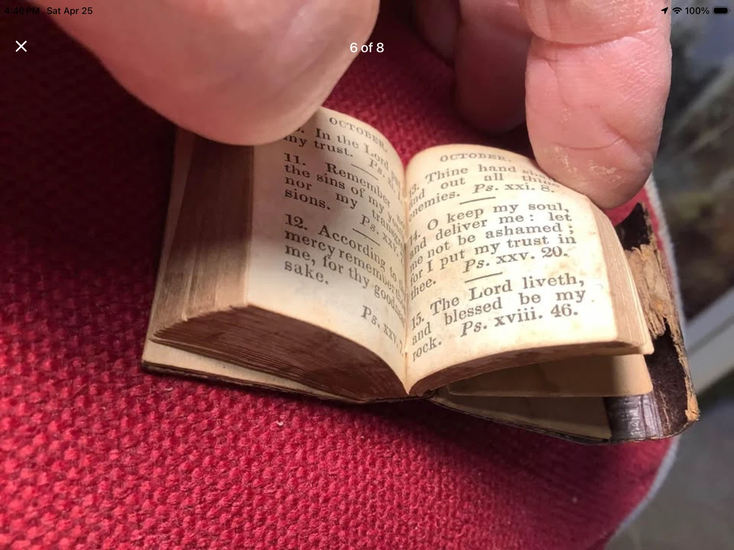 1835 Scripture Gems Miniature Book 🐞 - photo 4